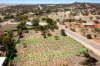 21 Erwood Road, Northampton, WA 6535-Image