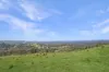 21 Hampton View Court, Hampton, Qld 4352