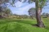 21 Hampton View Court, Hampton, Qld 4352-Image