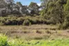 21 John Field Drive, Newborough, Vic 3825-Image