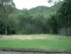 21 Nerita Crescent, Nelly Bay, Qld 4819-Image