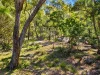 21 Nerita Crescent, Nelly Bay, Qld 4819-Image