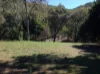21 Nerita Crescent, Nelly Bay, Qld 4819-Image