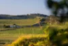 21 Pointer Road, Yatte Yattah, NSW 2539-Image