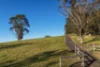 21 Pointer Road, Yatte Yattah, NSW 2539-Image