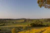 21 Pointer Road, Yatte Yattah, NSW 2539-Image