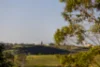 21 Pointer Road, Yatte Yattah, NSW 2539-Image
