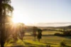21 Pointer Road, Yatte Yattah, NSW 2539-Image