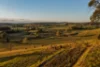 21 Pointer Road, Yatte Yattah, NSW 2539-Image