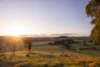21 Pointer Road, Yatte Yattah, NSW 2539-Image