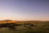 21 Pointer Road, Yatte Yattah, NSW 2539-Image