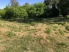 21 Riverview Tce, Goondiwindi, Qld 4390-Image