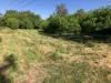 21 Riverview Tce, Goondiwindi, Qld 4390-Image