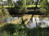 21 Riverview Tce, Goondiwindi, Qld 4390-Image