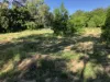 21 Riverview Tce, Goondiwindi, Qld 4390-Image