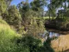 21 Riverview Tce, Goondiwindi, Qld 4390-Image