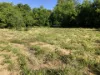 21 Riverview Tce, Goondiwindi, Qld 4390-Image
