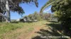 21 Shelly Cres, Lamb Island, Qld 4184-Image