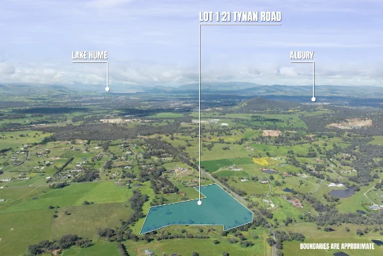 21 Tynan Road, Table Top, NSW 2640