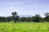 21 Tynan Road, Table Top, NSW 2640-Image