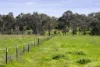 21 Tynan Road, Table Top, NSW 2640-Image