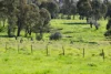 21 Tynan Road, Table Top, NSW 2640-Image