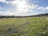 21 Venerable Drive, Rokeby, Tas 7019-Image