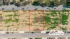 21 Vermilion Drive, Yarrawonga, Vic 3730-Image