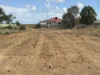 21 West Terace, Port Pirie, SA 5540-Image