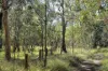 2109 Round Hill Road, Agnes Water, Qld 4677-Image