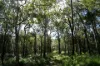 2109 Round Hill Road, Agnes Water, Qld 4677-Image