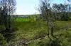2109 Round Hill Road, Agnes Water, Qld 4677-Image