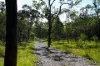 2109 Round Hill Road, Agnes Water, Qld 4677-Image