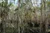 2109 Round Hill Road, Agnes Water, Qld 4677-Image