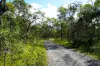 2109 Round Hill Road, Agnes Water, Qld 4677-Image