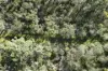 2109 Round Hill Road, Agnes Water, Qld 4677-Image