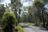 2109 Round Hill Road, Agnes Water, Qld 4677-Image