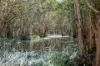 2109 Round Hill Road, Agnes Water, Qld 4677-Image