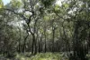2109 Round Hill Road, Agnes Water, Qld 4677-Image