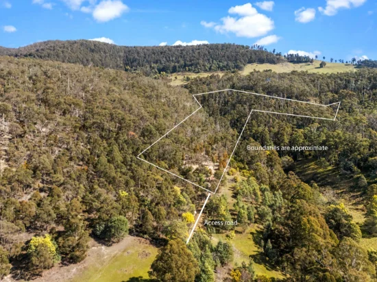 212 Lower Swamp Road, Lachlan, Tas 7140