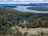 2127 West Tamar Highway, Lanena, Tas 7275