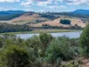 2127 West Tamar Highway, Lanena, Tas 7275-Image