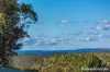 212A Princes Highway, Milton, NSW 2538-Image