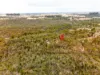 215 Goldfields Road, Barossa Goldfields, SA 5351-Image