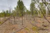 215 Goldfields Road, Barossa Goldfields, SA 5351-Image
