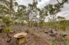 215 Goldfields Road, Barossa Goldfields, SA 5351-Image