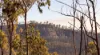 215 Martin Road, Nymboida, NSW 2460-Image