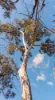 215 Martin Road, Nymboida, NSW 2460-Image