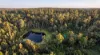 215 Martin Road, Nymboida, NSW 2460-Image