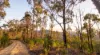 215 Martin Road, Nymboida, NSW 2460-Image